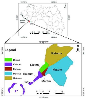 Barriers to Contraceptive Use Among Urban Adolescents and Youth in Conakry, in 2019, Guinea